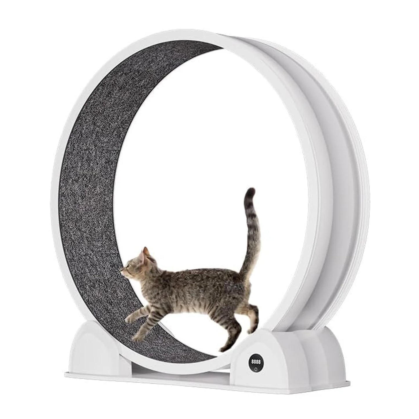 HiMISS Cat Exercise Wheel With Smart Pedometer For Indoor Running