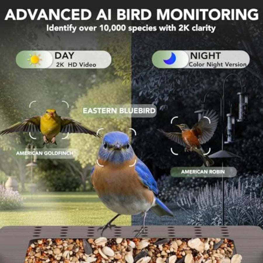 Smart Bird Feeder with Camera Solar Powered - Biomimetic Design 2K Video AI Identify Species and Instant Arrival Alerts Weather