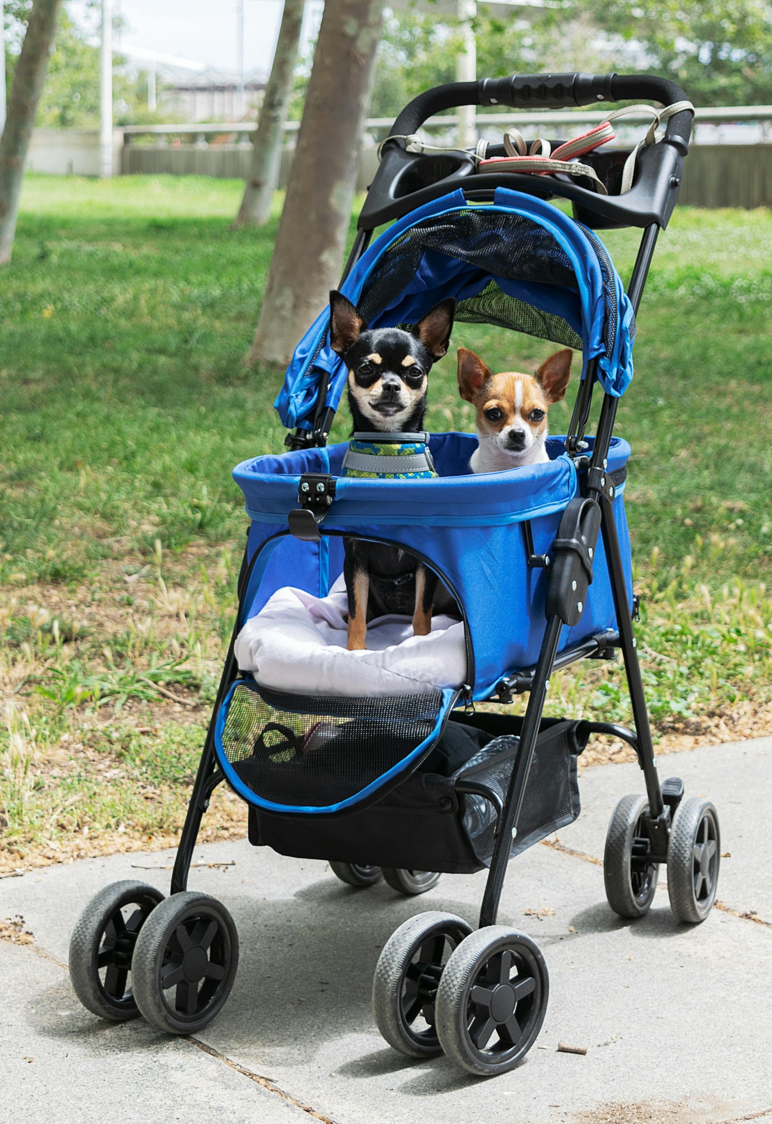Carriers, Carts & Strollers