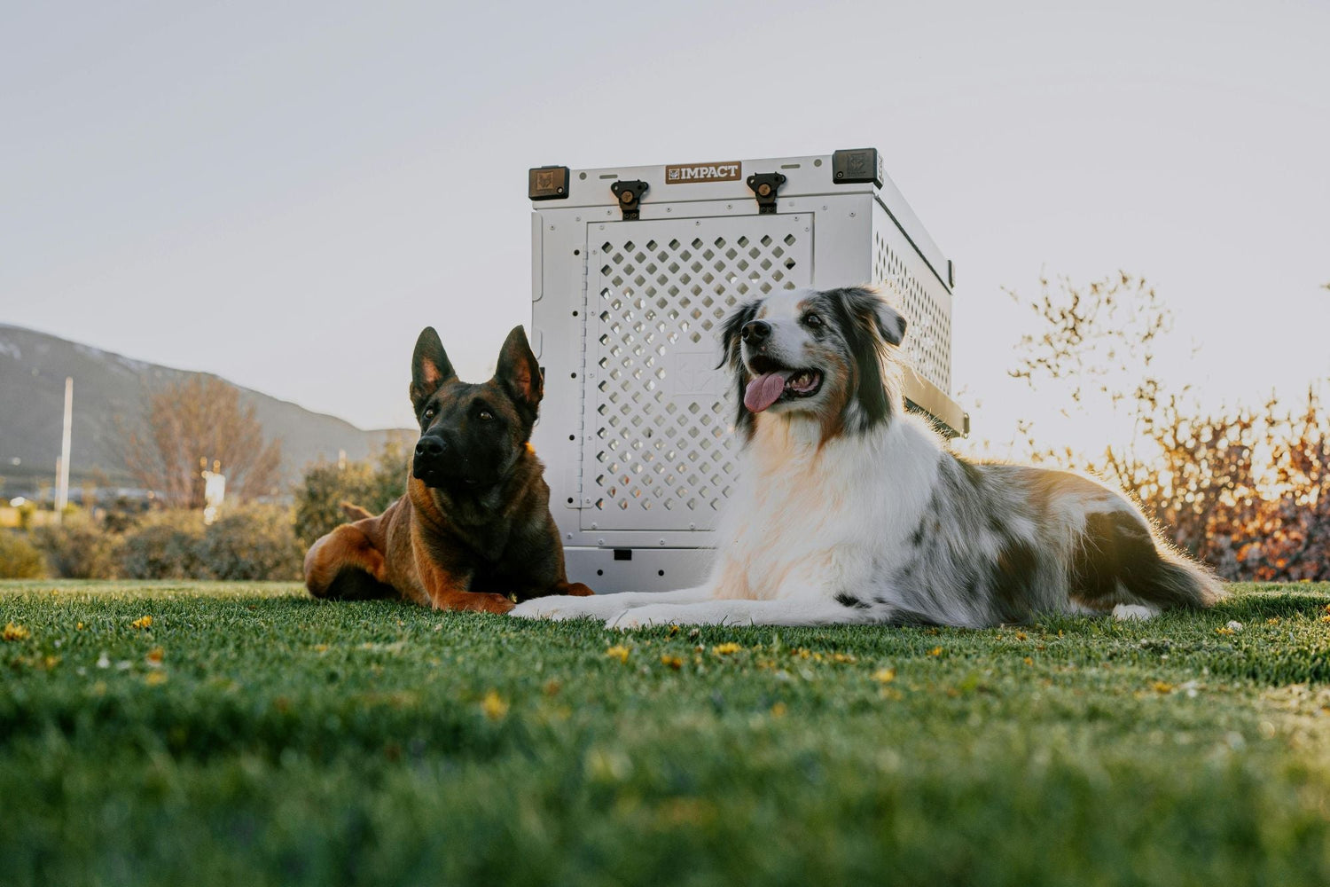 Crates, Cages, Gates & Pens