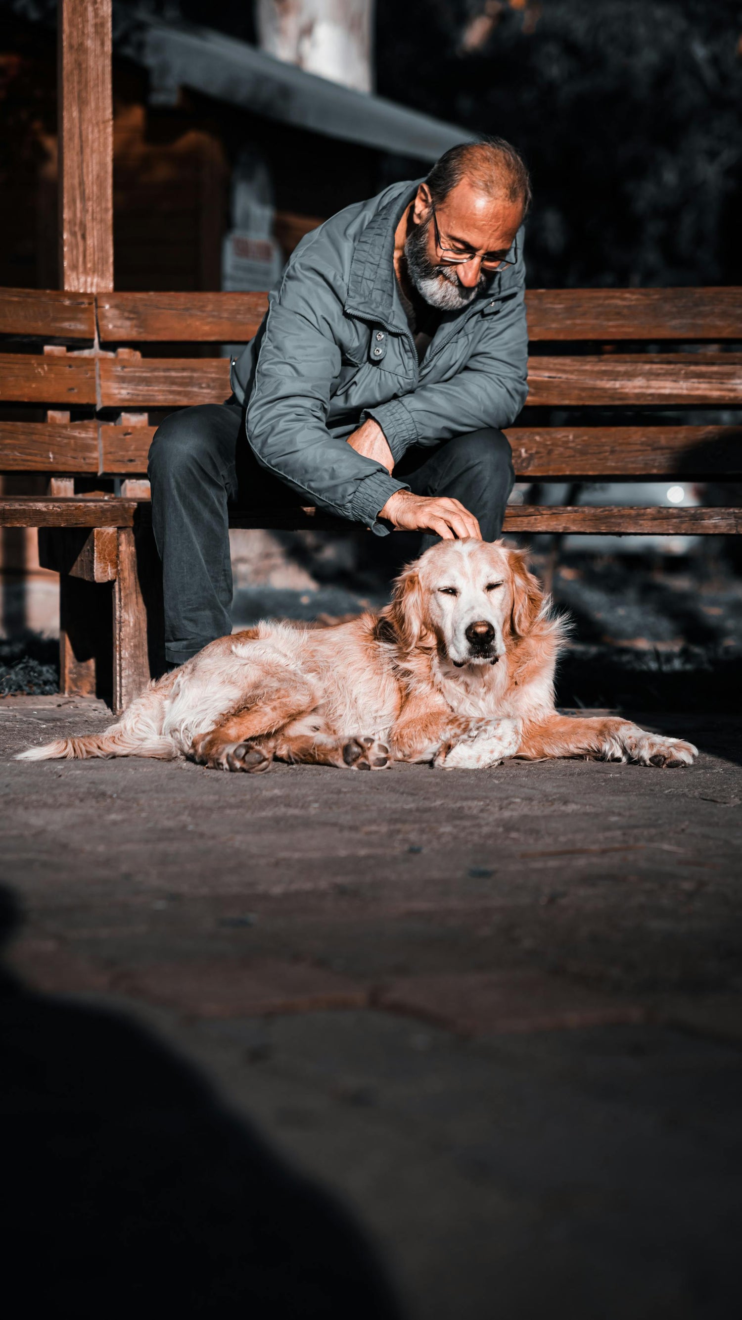 Senior Pet Essentials