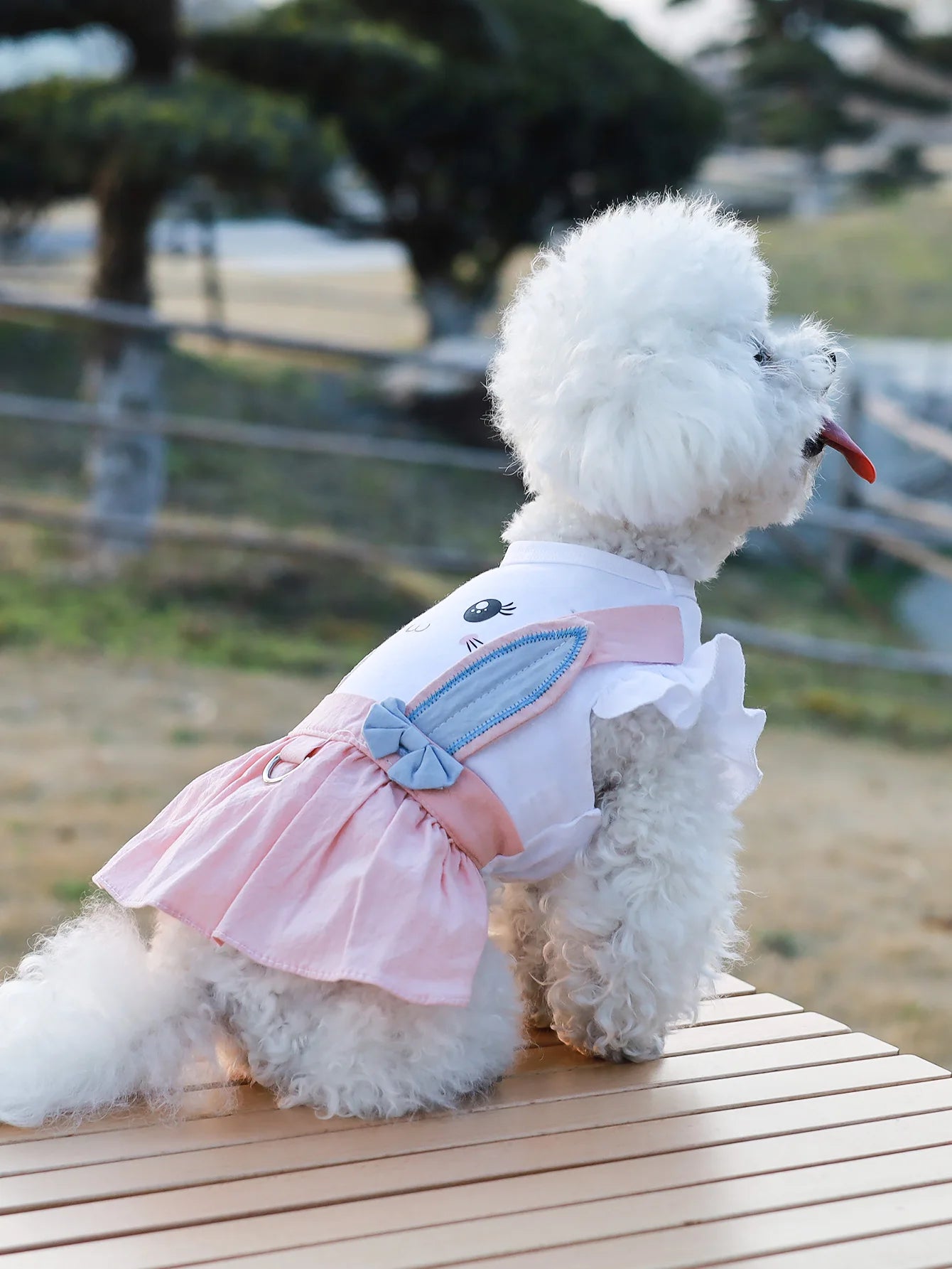 Rabbit Print Thin Pet Dress For Spring Summer Soft Breathable Outfit
