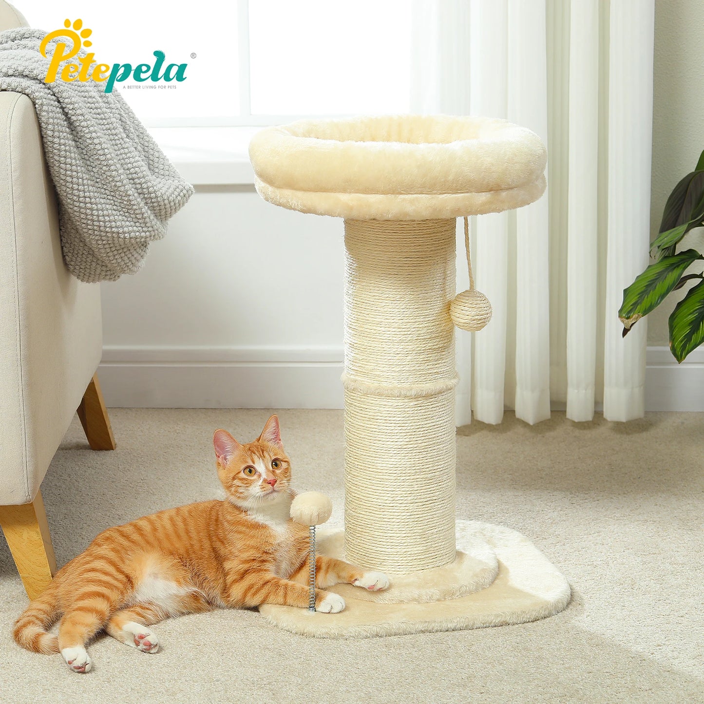 PAWZ Road Flower Cat Tree Scratching Post Indoor Use