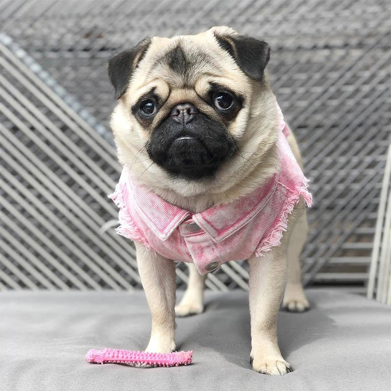YOUDUDUCN Denim Dog Jacket Jeans Coat For All Dogs