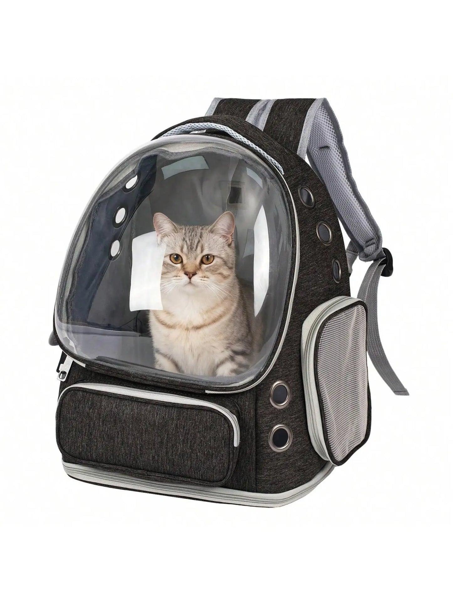 Transparent Pet Backpack Carrier for Small Cats and Dogs, Ventilated Plastic Travel Bag with Zipper Closure for Outdoor Use