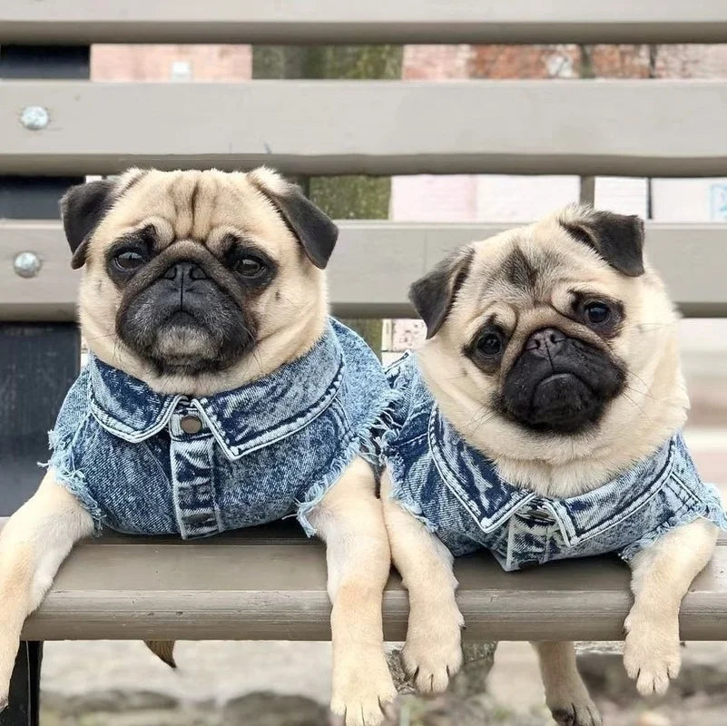YOUDUDUCN Denim Dog Jacket Jeans Coat For All Dogs