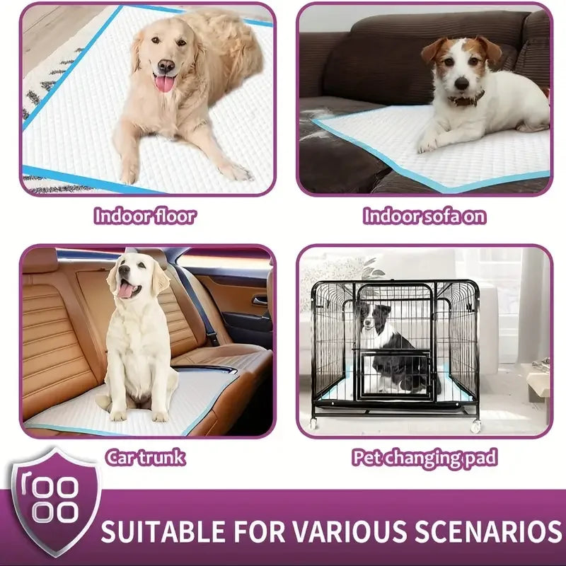 NONE Dog Pee Pads Premium Disposable Training Absorbency