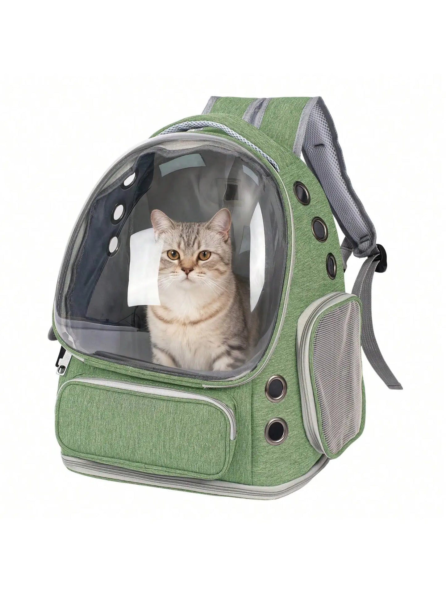 Transparent Pet Backpack Carrier for Small Cats and Dogs, Ventilated Plastic Travel Bag with Zipper Closure for Outdoor Use