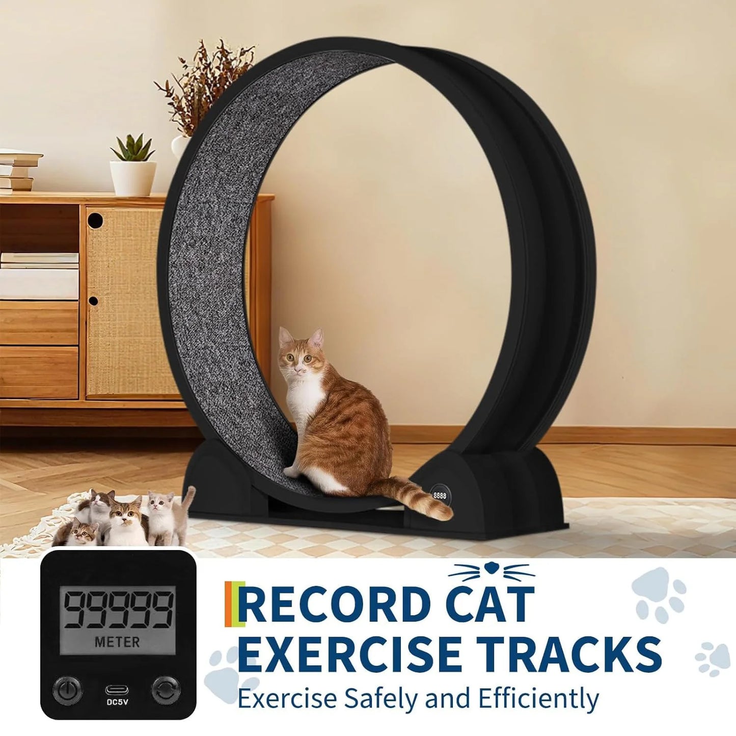 HiMISS Cat Exercise Wheel With Smart Pedometer For Indoor Running