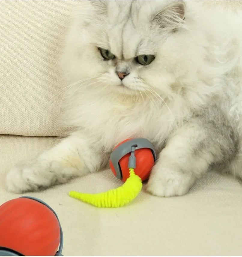 Cat Scratcher And 2 In 1 Interactive Puzzle Playset