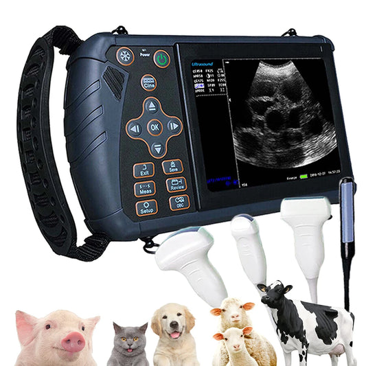 DAWEI Portable Veterinary Ultrasound Scanner For Livestock Pregnancy