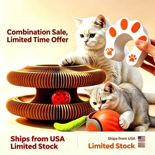 Cat Scratcher And 2 In 1 Interactive Puzzle Playset