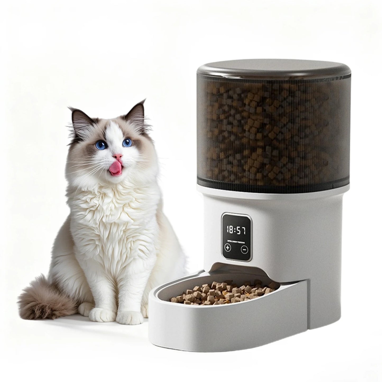 Acekool Automatic Cat Feeder With Timer And Portion Control