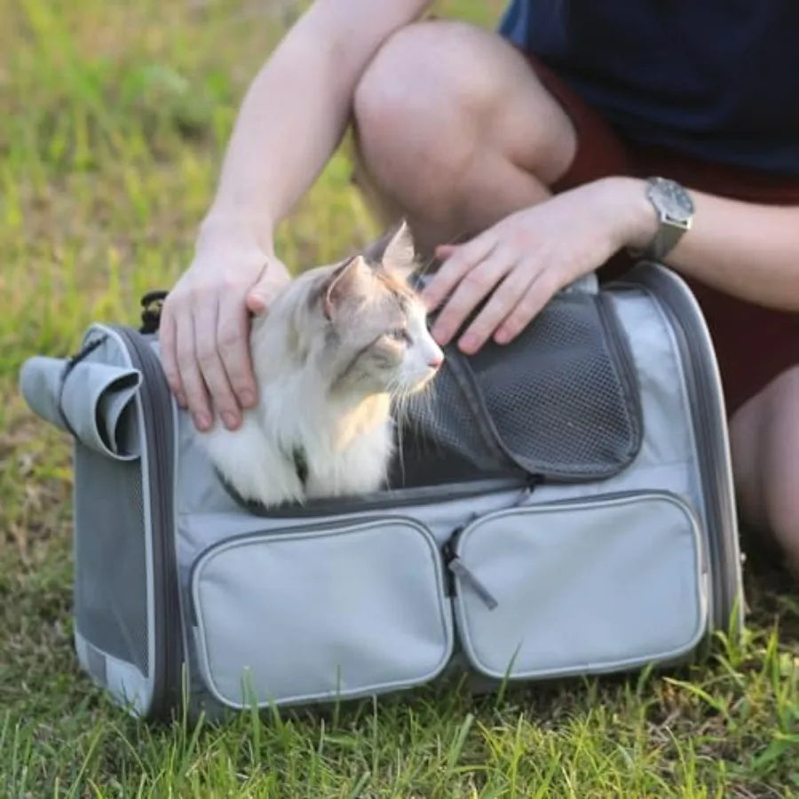 Cat Carrier, Soft-Sided Small Dog Carrier, Large Cat Travel Bag with 4 Mesh Windows, Under 15 lb Airline Approved Pet Carrier w