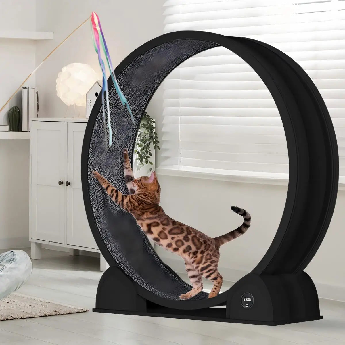 HiMISS Cat Exercise Wheel With Pedometer For Fitness And Weight Loss