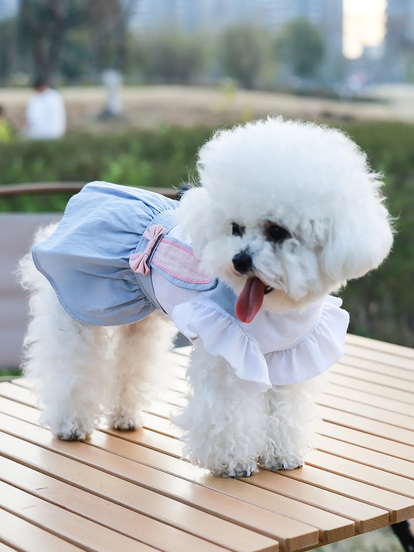 Rabbit Print Thin Pet Dress For Spring Summer Soft Breathable Outfit