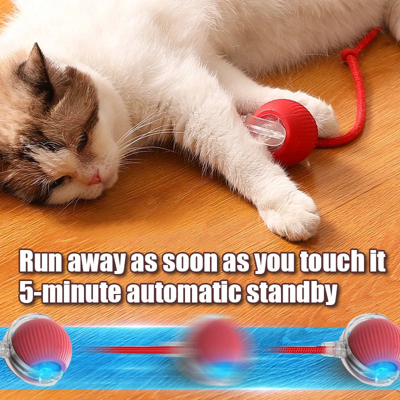 Smart Cat Toy Automatic Rolling Ball Rechargeable Interactive Fake Tail