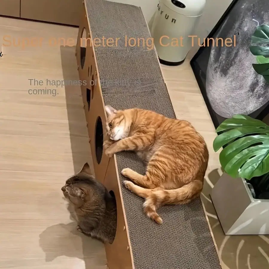 Ultra Large Luxury Cat Nest Tunnel With Double Scratching Boards