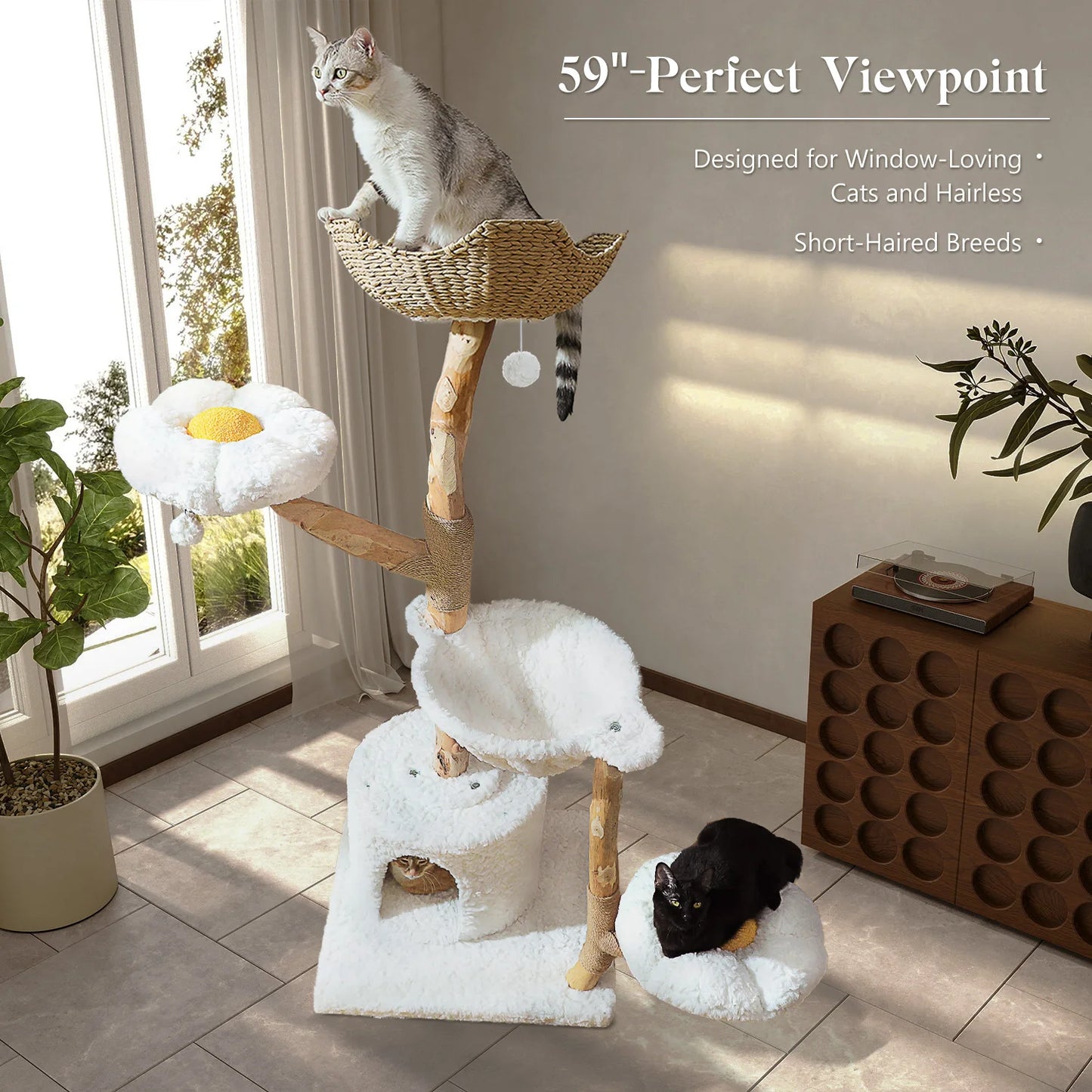 PEQULTICN Solid Wood Cat Tree With Multi Tier Condo Perches