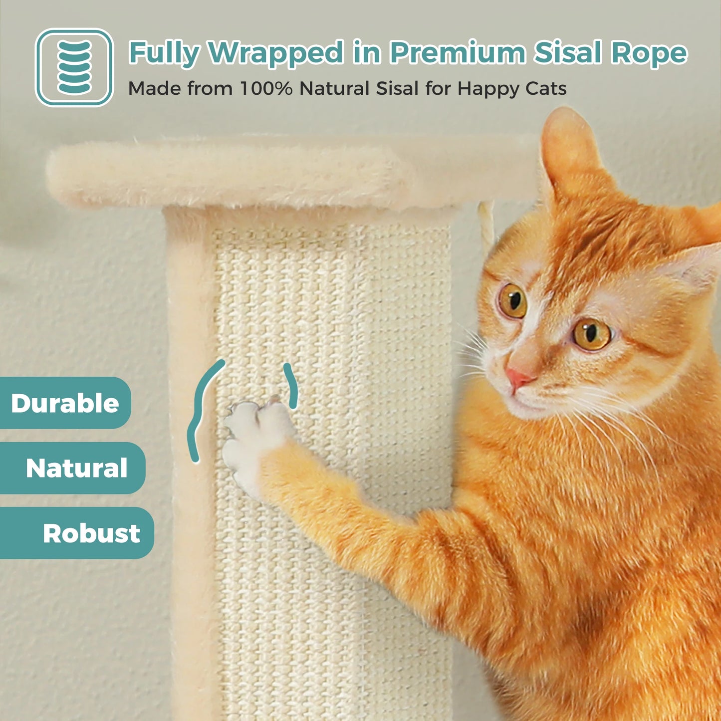 PAWZ Road Cat Scratching Post for Indoor Cats