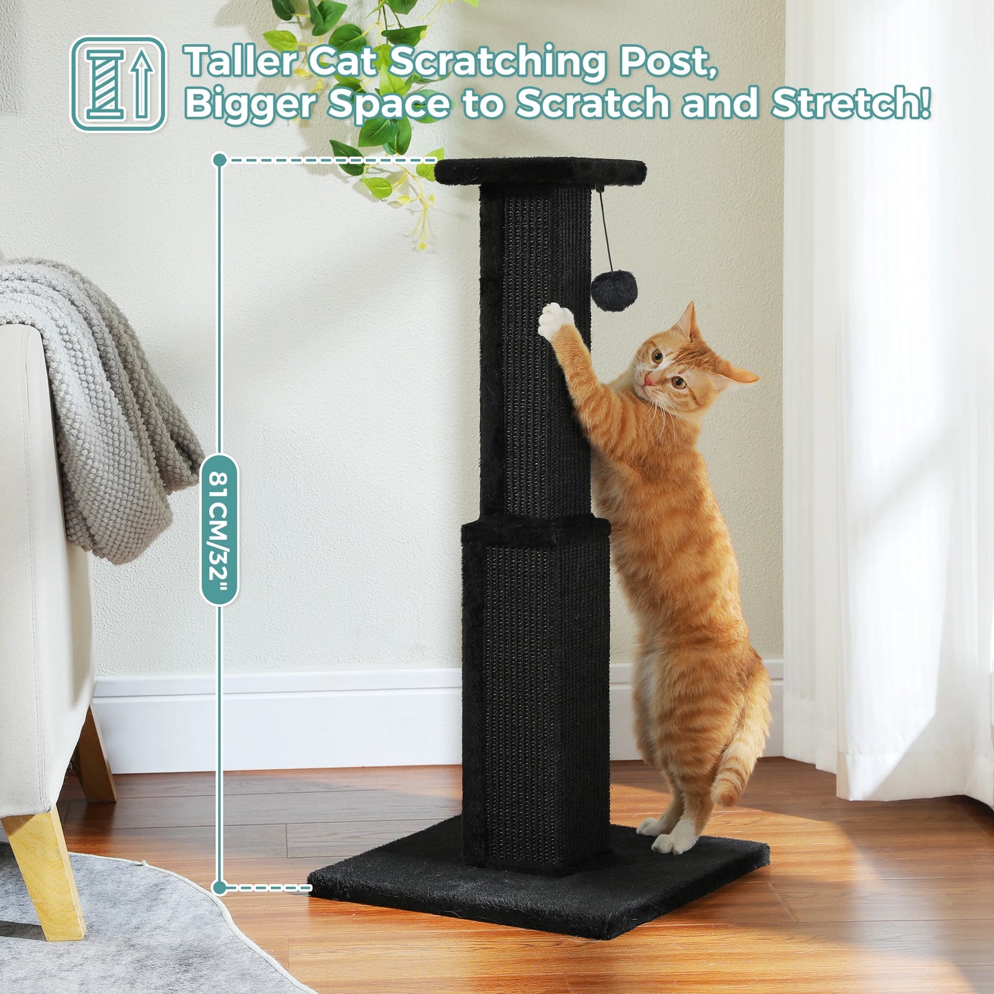 PAWZ Road Cat Scratching Post for Indoor Cats