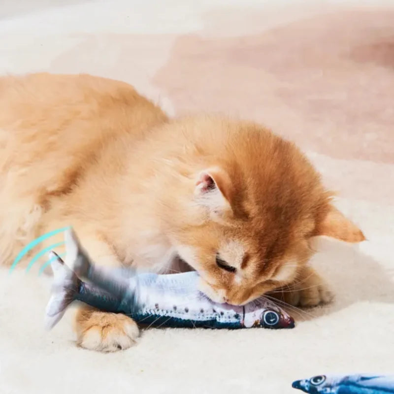 Booteely Electric Catnip Fish Toy Set With USB Charging