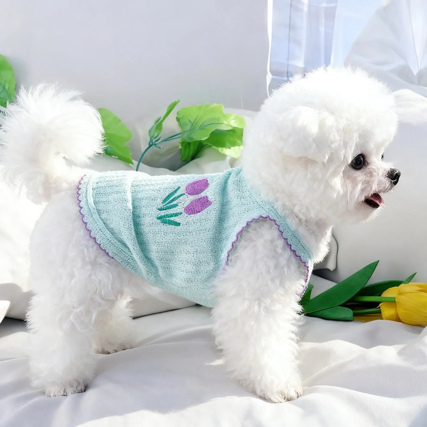 Simple Thin Strap Pet Vest For Small Dogs And Cats