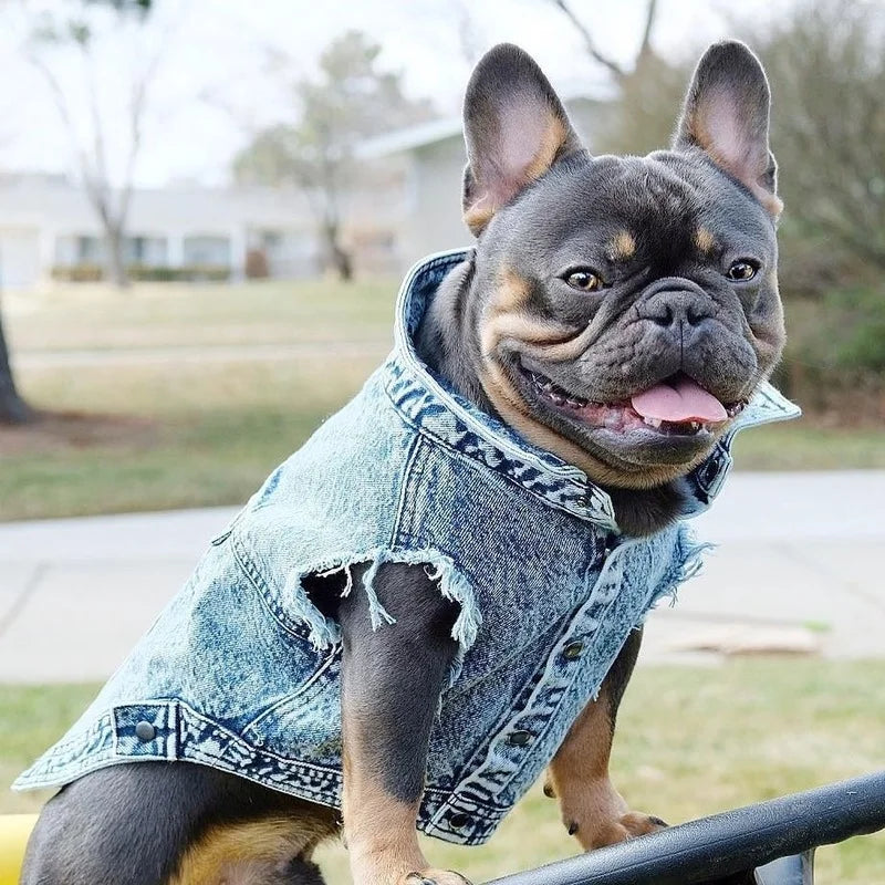 YOUDUDUCN Denim Dog Jacket Jeans Coat For All Dogs