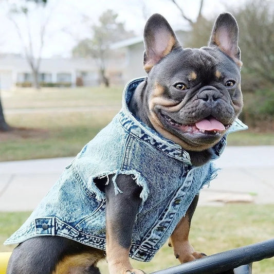 YOUDUDUCN Denim Dog Jacket Jeans Coat For All Dogs