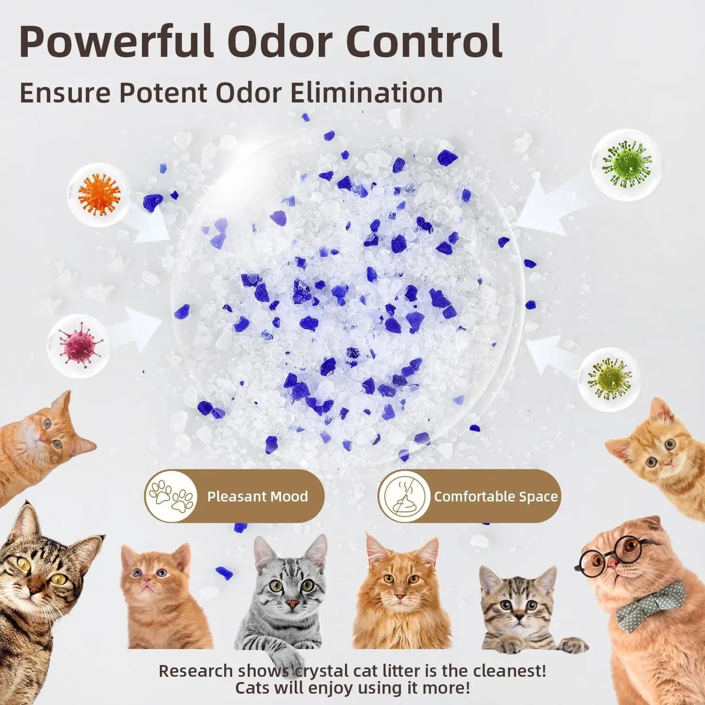 Crystal Cat Litter With Silica Gel Long Lasting Odor Control Safe For Pets