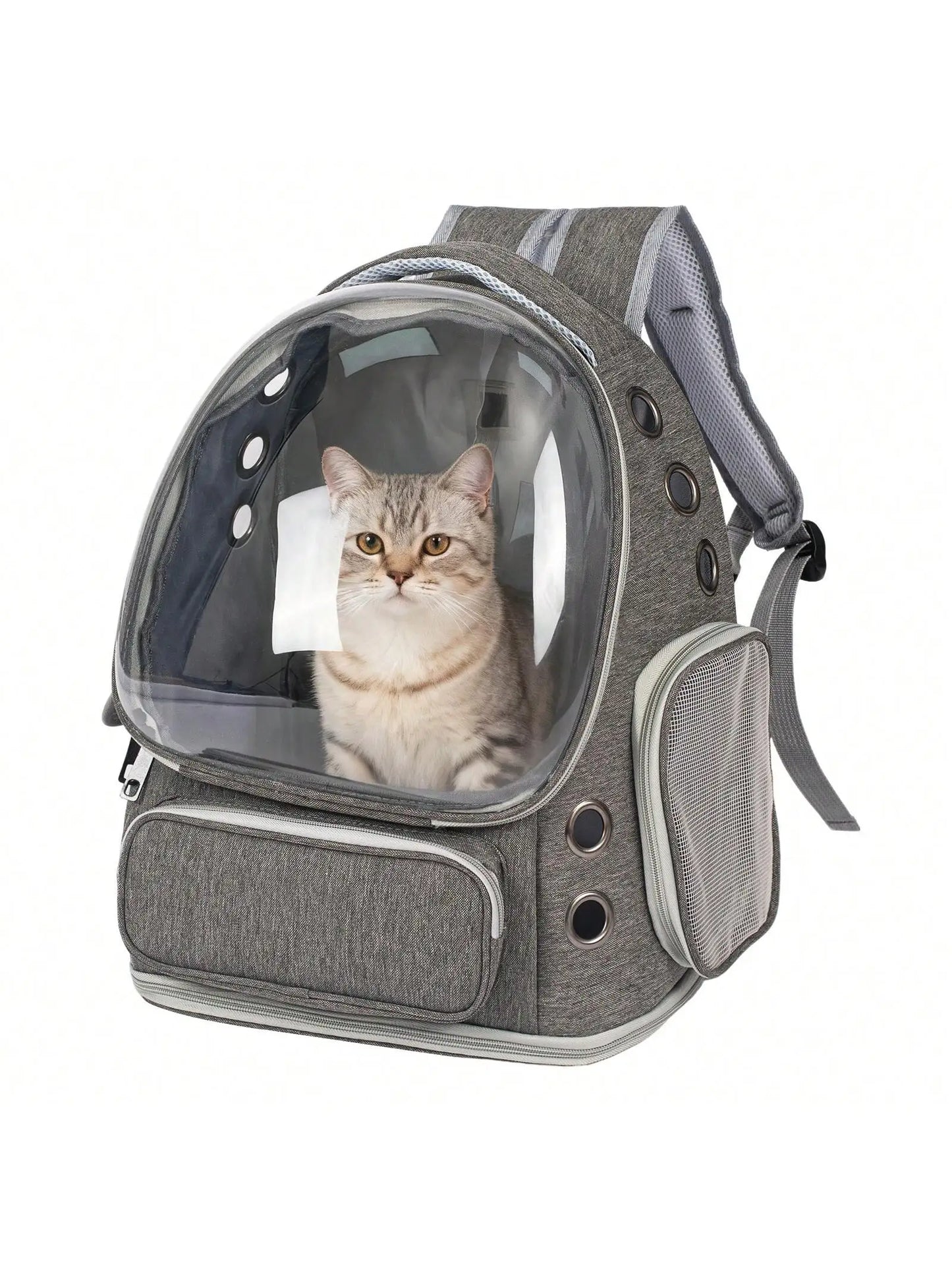 Transparent Pet Backpack Carrier for Small Cats and Dogs, Ventilated Plastic Travel Bag with Zipper Closure for Outdoor Use