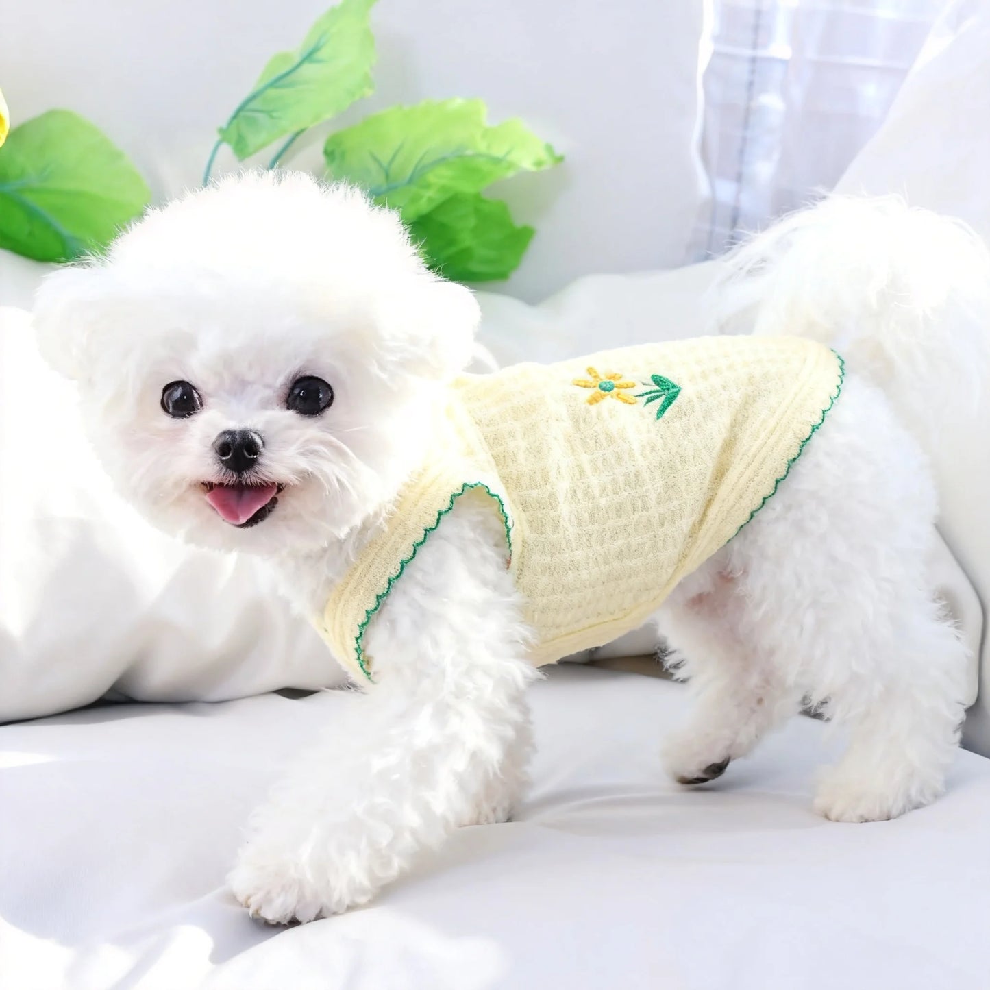 Simple Thin Strap Pet Vest For Small Dogs And Cats
