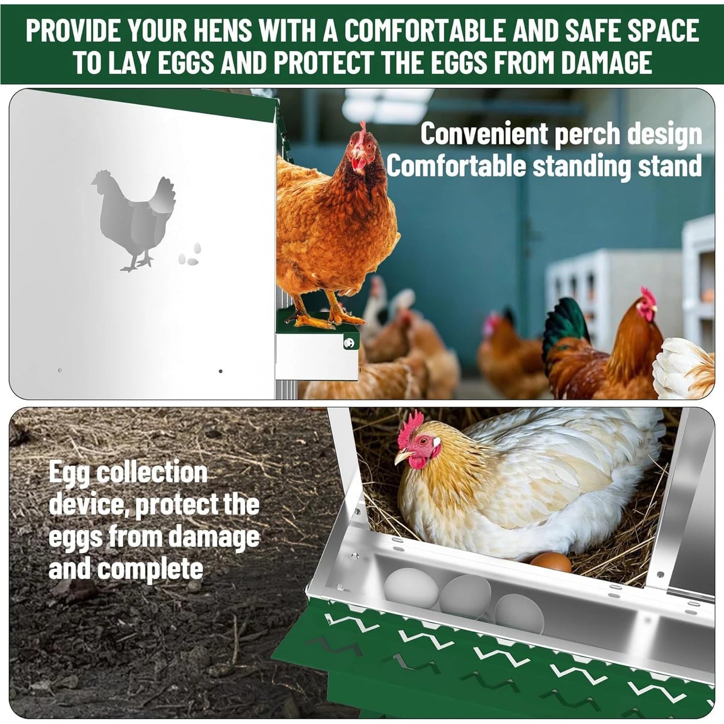 HiMISS Metal Chicken Nesting Box With 10 Compartments Wall-Mountable