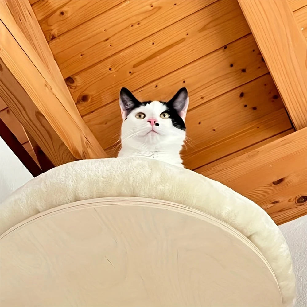PETRAVEL Cat Wall Mount Climbing Ladder With Hammock Scratching Post