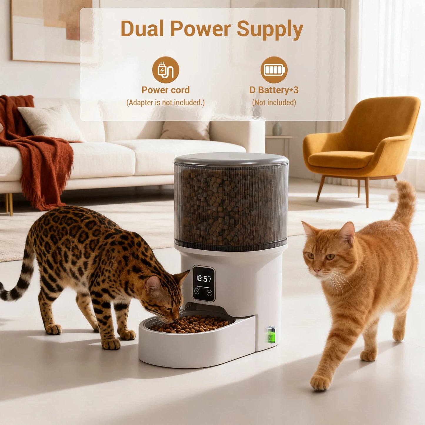 Acekool Automatic Cat Feeder With Timer And Portion Control