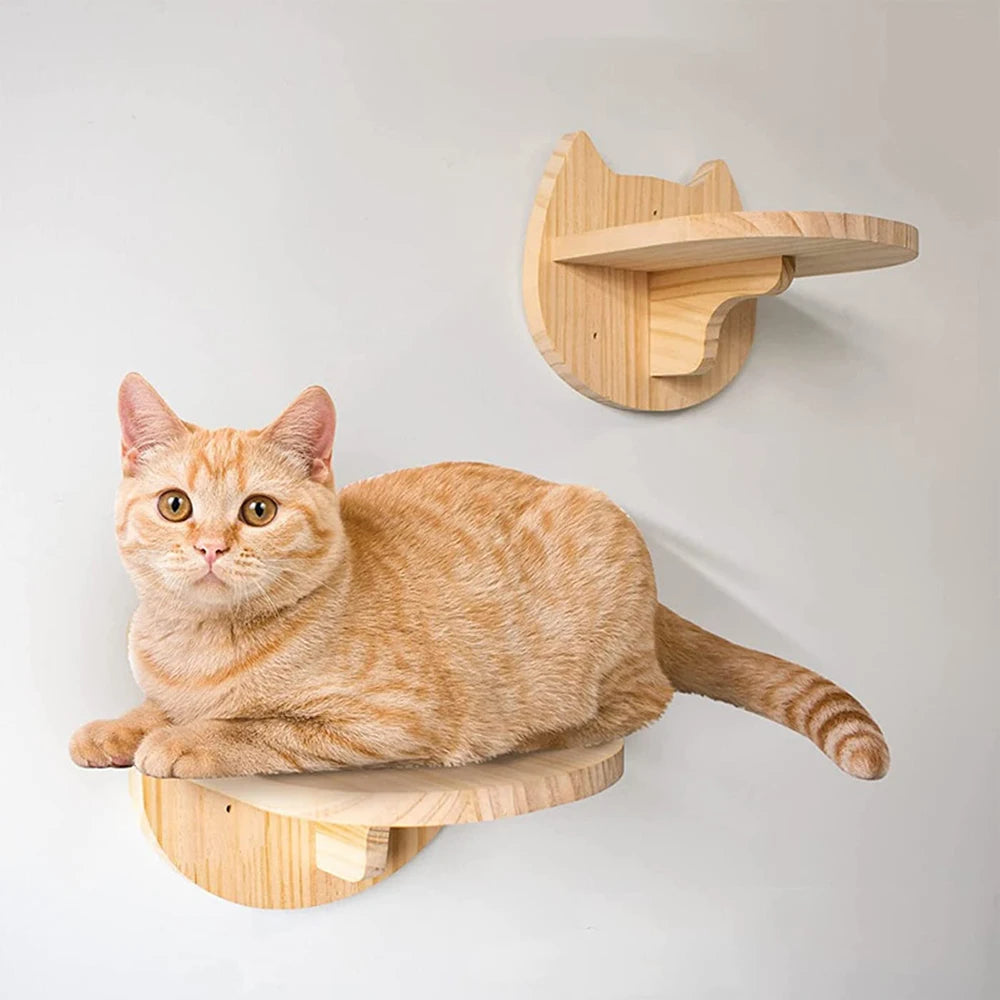 PETRAVELCN Cat Climbing Wall Shelf Four Step Scratching Post