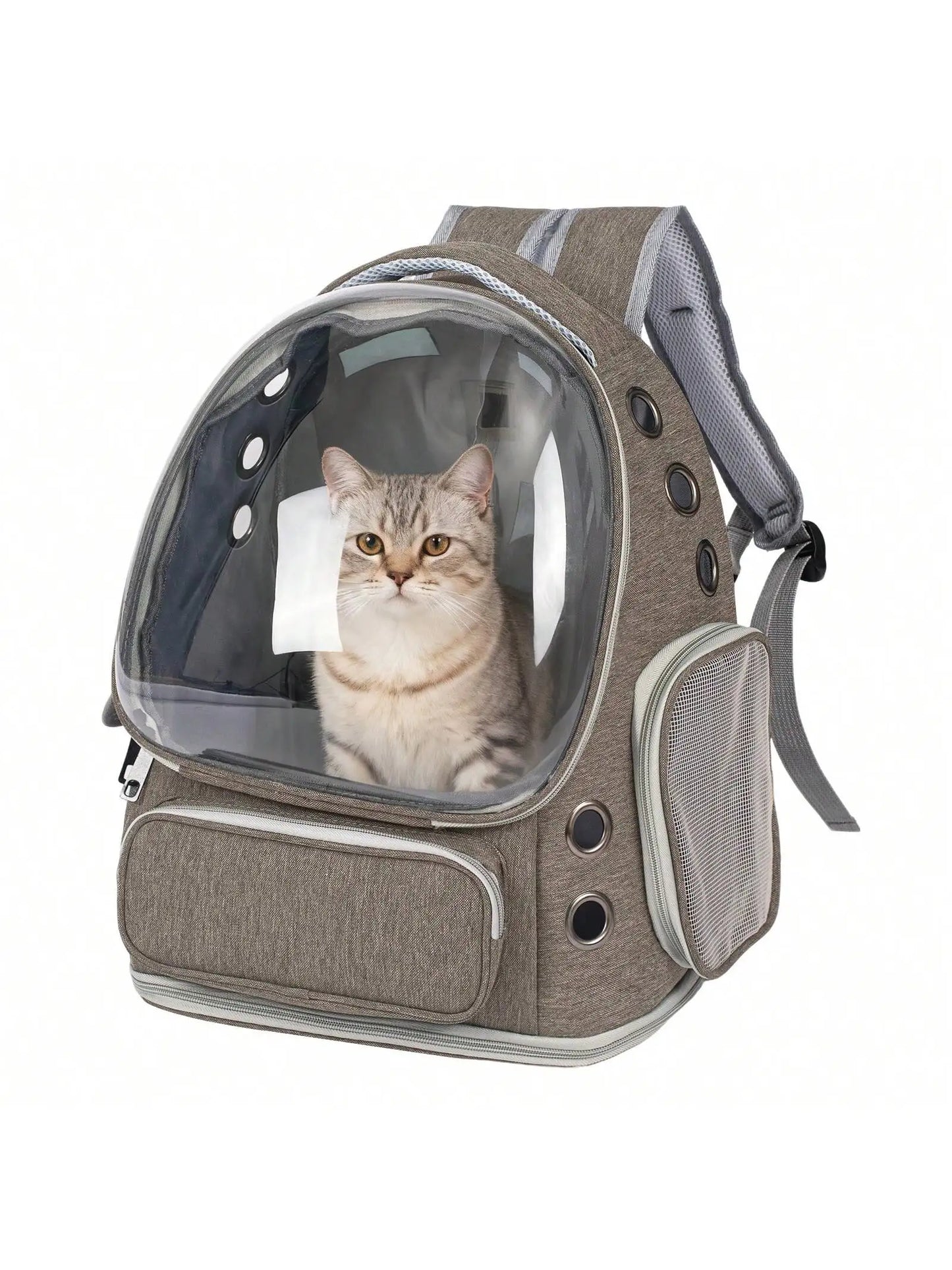 Transparent Pet Backpack Carrier for Small Cats and Dogs, Ventilated Plastic Travel Bag with Zipper Closure for Outdoor Use