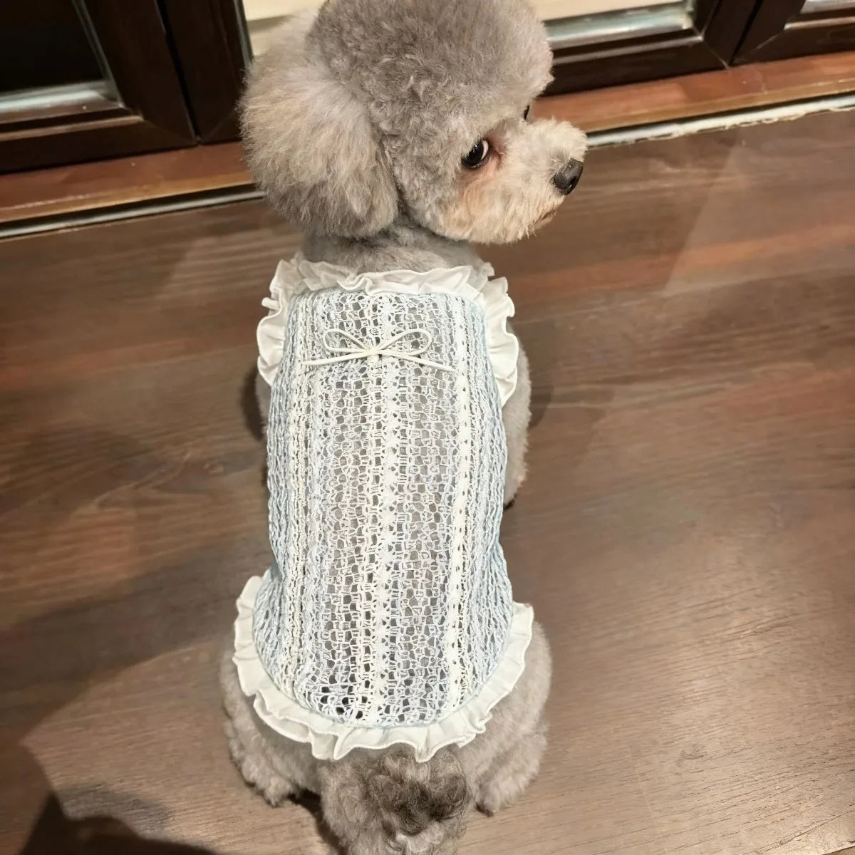 Mesh Pet Sling Dress For Small Dogs And Cats Daily Walks