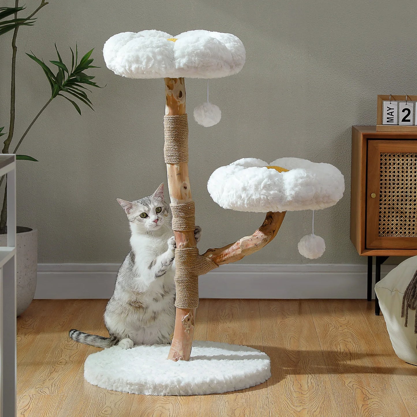 PEQULTICN Solid Wood Cat Tree With Multi Tier Condo Perches