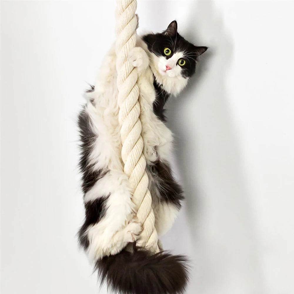 PETRAVELCN Cat Climbing Shelf and Rope Tree Wall Scratching Post
