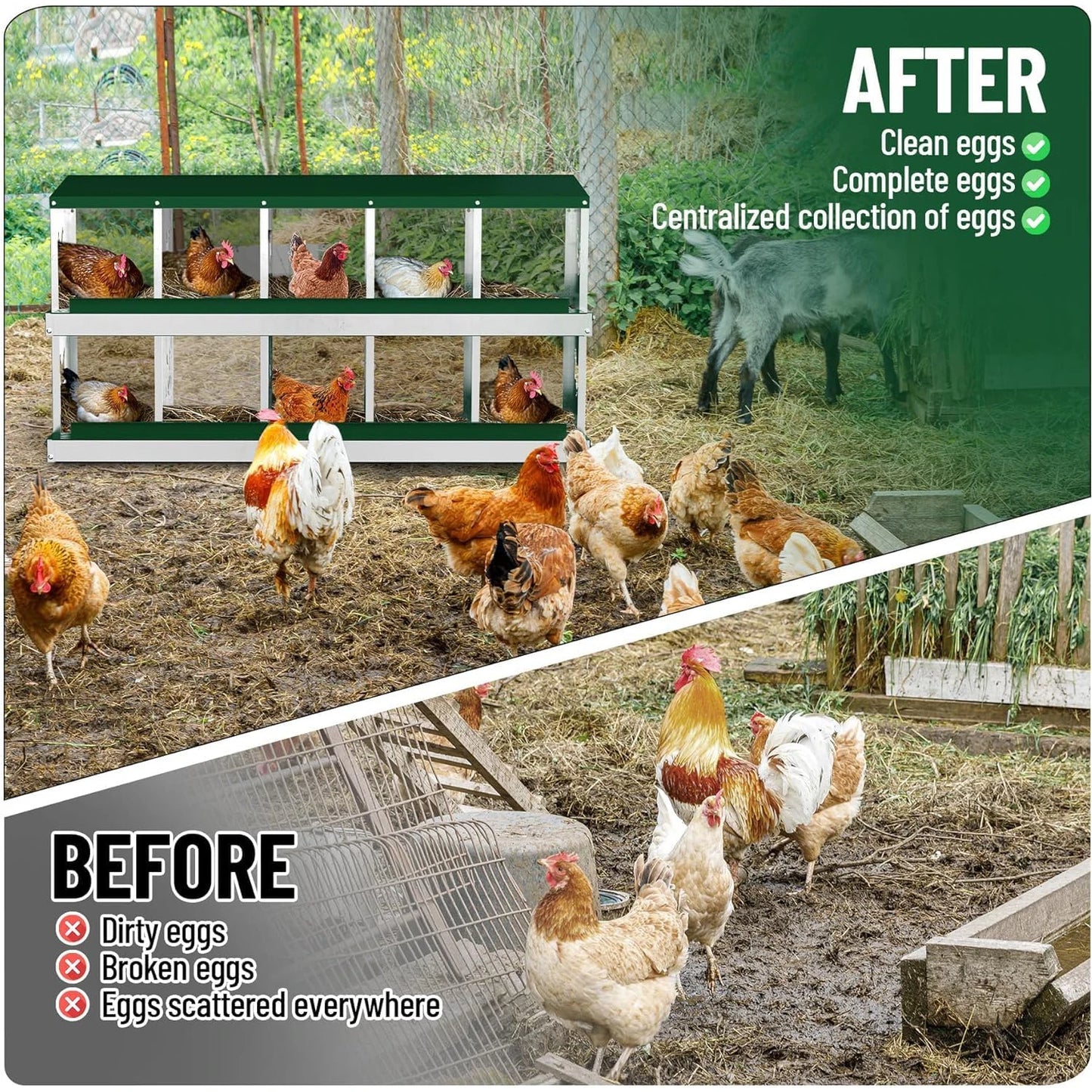 HiMISS Metal Chicken Nesting Box With 10 Compartments Wall-Mountable