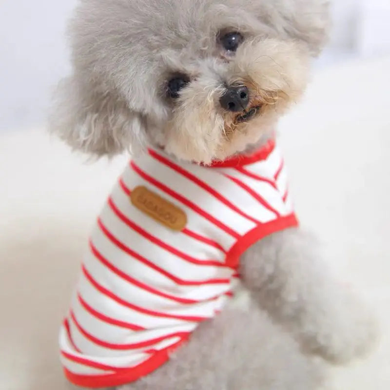 Classic Stripe Sleeveless Pet Vest Breathable Summer Outfit