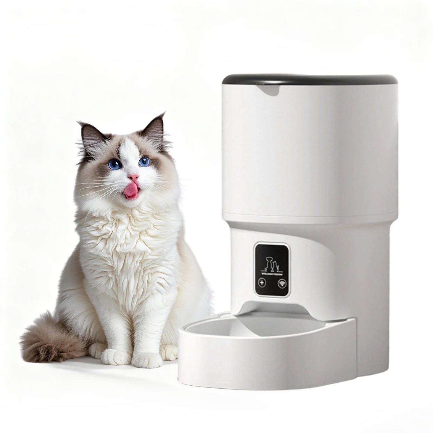 Acekool Automatic Cat Feeder With Timer And Portion Control