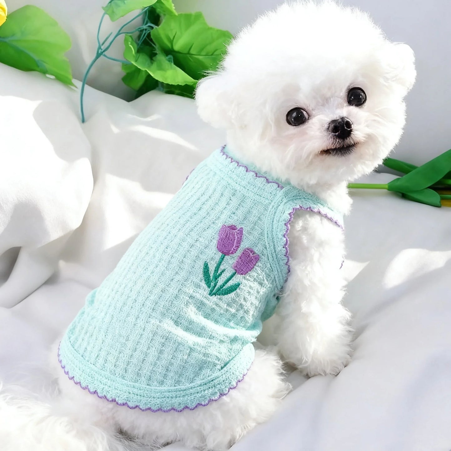 Simple Thin Strap Pet Vest For Small Dogs And Cats