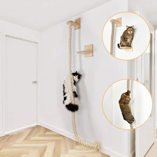 PETRAVELCN Cat Climbing Shelf and Rope Tree Wall Mounted