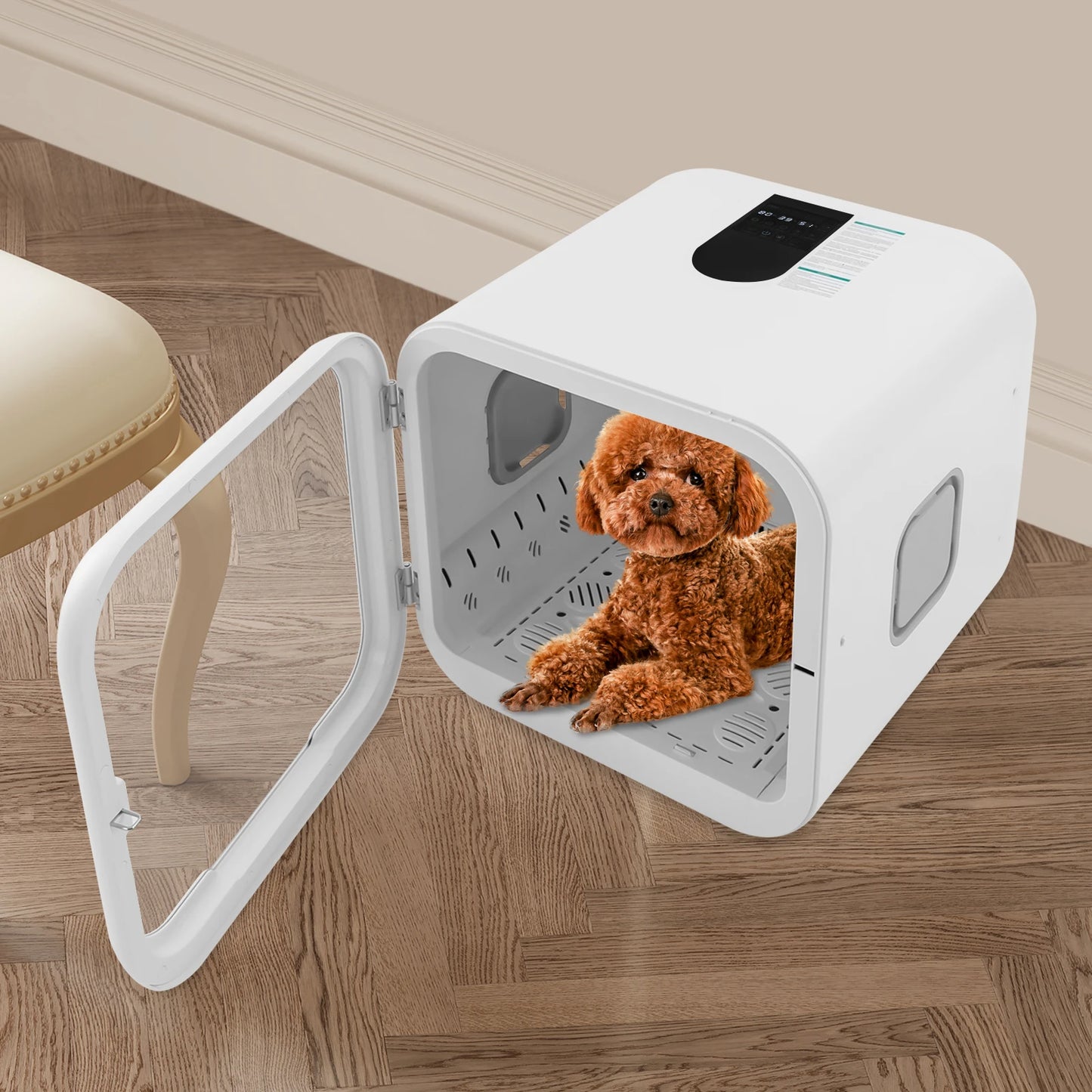 Pet Dryer Box 800W Grooming Hair Dryer For Cats