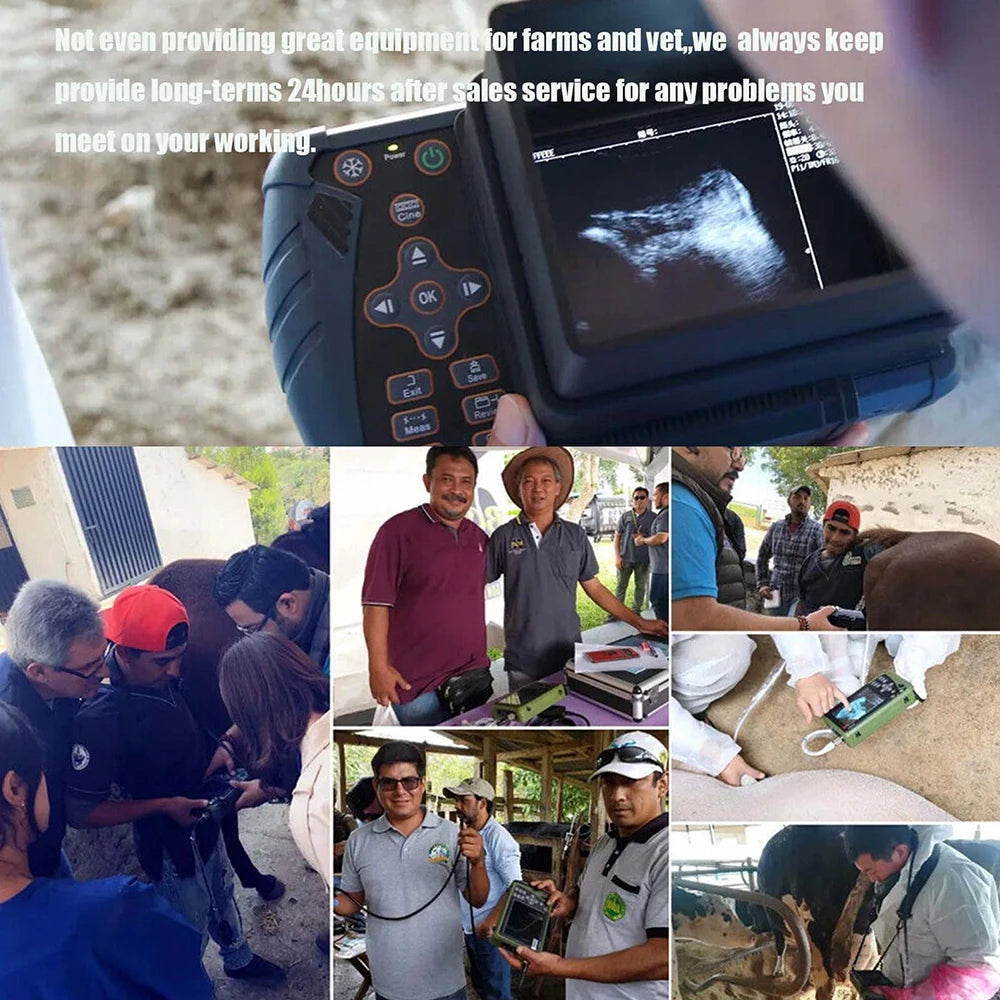 DAWEI Portable Veterinary Ultrasound Scanner for Pregnancy with 3.5MHz Probe