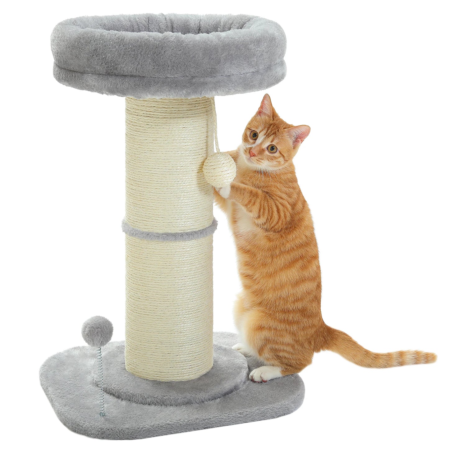 PAWZ Road Flower Cat Tree Scratching Post Indoor Use