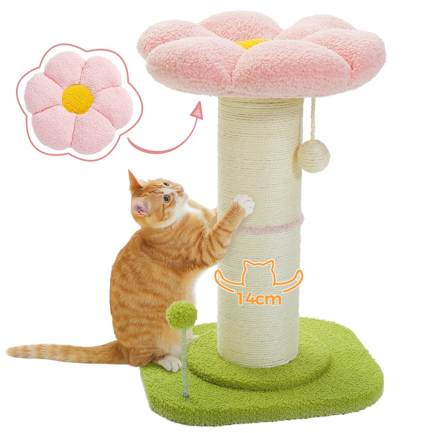 PAWZ Road Flower Cat Tree Scratching Post Indoor Use