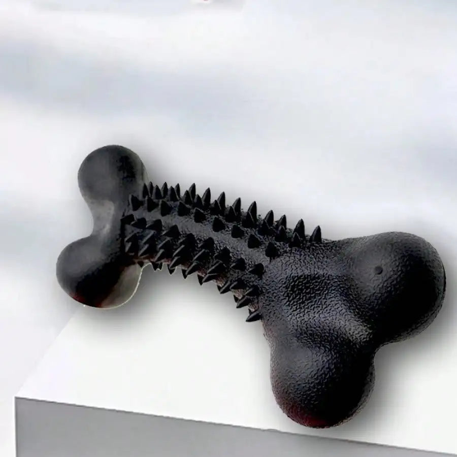 Indestructible Dog Teeth Cleaning Bone Toy For Safe Chewing Entertainment